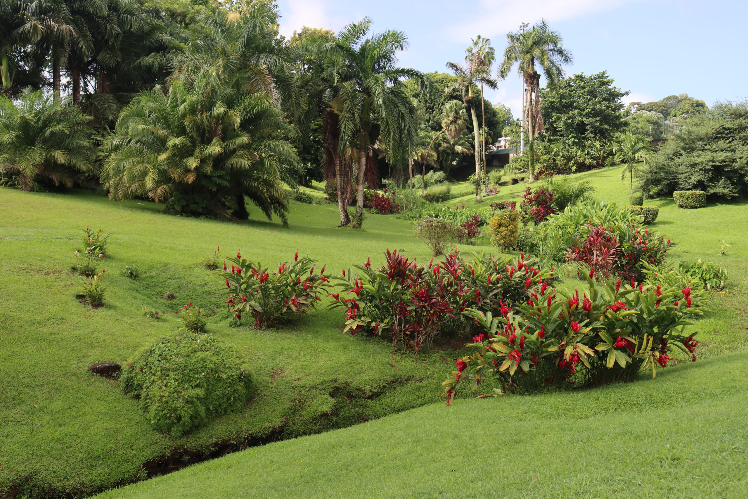 Jardin-Centenaire-20-scaled